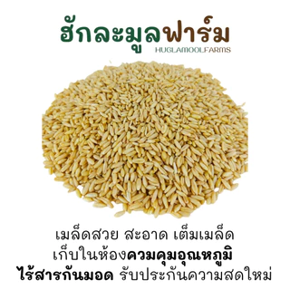 ซื้อครบ4แถม1 ข้าวโอ๊ต แบบหุง ออร์แกนิค 1กก ตราฮักละมูลฟาร์ม Organic Oat Groat ข้าวโอ็ต