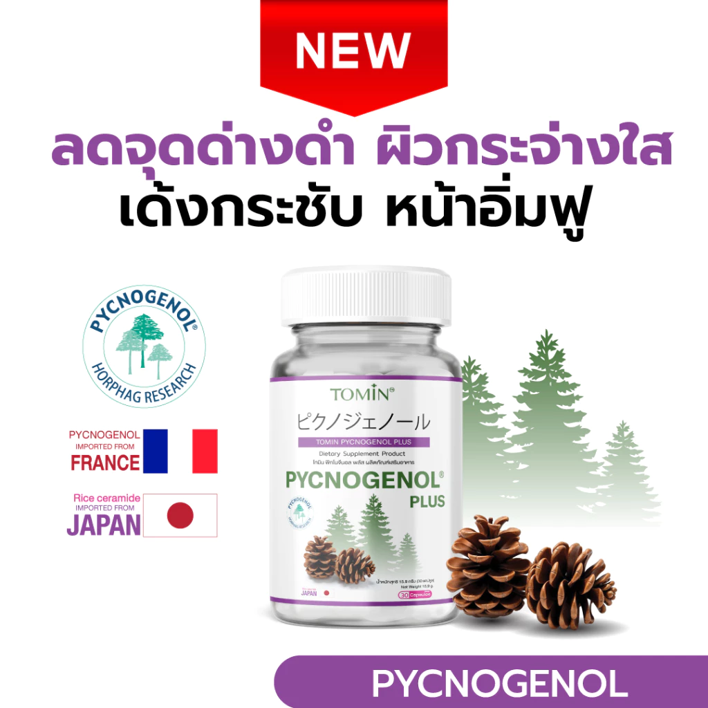 TOMIN™ Pycnogenol Plus เปลือกสนฝรั่งเศส ผิวใส ลดฝ้า วิตามินผิว ต้านอนุมูลอิสระ