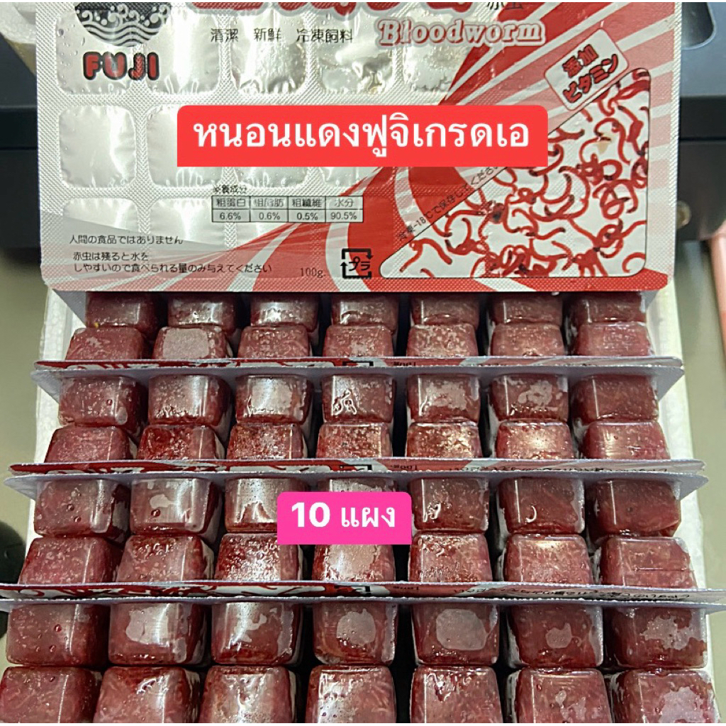 หนอนแดงฟูจิแช่แข็ง 10 แผง(1กล่อง)พร้อมลังโฟม