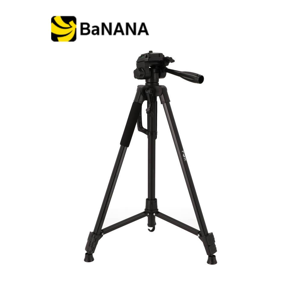 [โปรโมชั่นราคาพิเศษ] ขาตั้งกล้อง FOX Camera/Camcoder Stand TRIPOD FOX-TP02 Black by Banana IT
