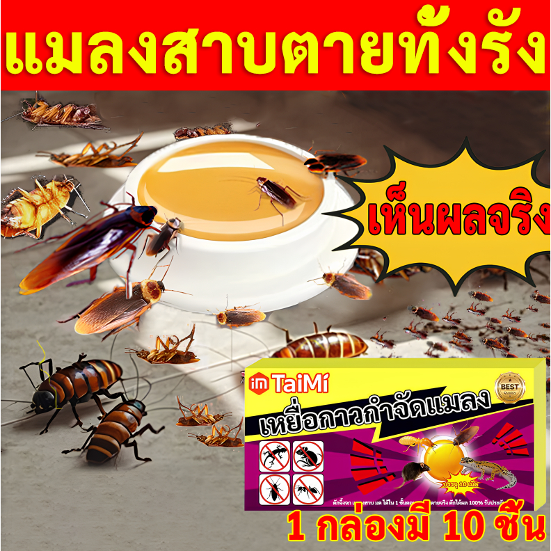 แมลงสาบตายทั้งรัง แมลงสาบ ไล่แมลงสาบ ฆ่าแมลงสาบ ยาฆ่าแมลง ยาแมลงสาบ เจลแมลงสาบ กำจัดทั้งรัง ป้องกันแมลงสาบ
