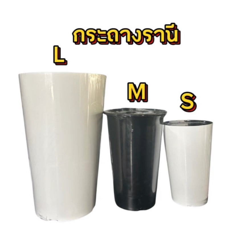กระถางพลาสติกรานี 9/11/15นิ้วกระถางทรงสูง พร้อมส่งมีหลายขนาด