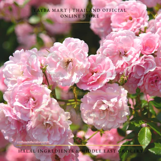 [250+25ml] Durra Damascena Rose Water (ماء ورد) น้ำกุหลาบ กลิ่นหอมหรู น้ำกลั่นกุหลาบ แต่งกลิ่นขนม ผสมชา/กาแฟ ใสไม่มีสี