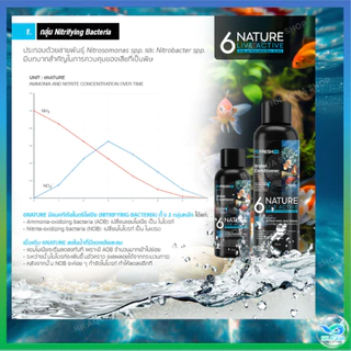 🆕 6NATURE จุลินทรีย์ตู้ปลา Nitrifying + Bacillus รวม 6 สายพันธุ์ น้ำใส ลดกลิ่น ตั้งตู้/บ่อปลา ไม้น้ำ กุ้ง