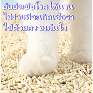 ทรายแมวเต้าหู้ 8 ลิตร น้ำหนัก 2.5kg ทรายเต้าหู้ ผลิตจากกากถั่วเหลืองธรรมชาติทรายแมว ทรายแมว Cat Litter