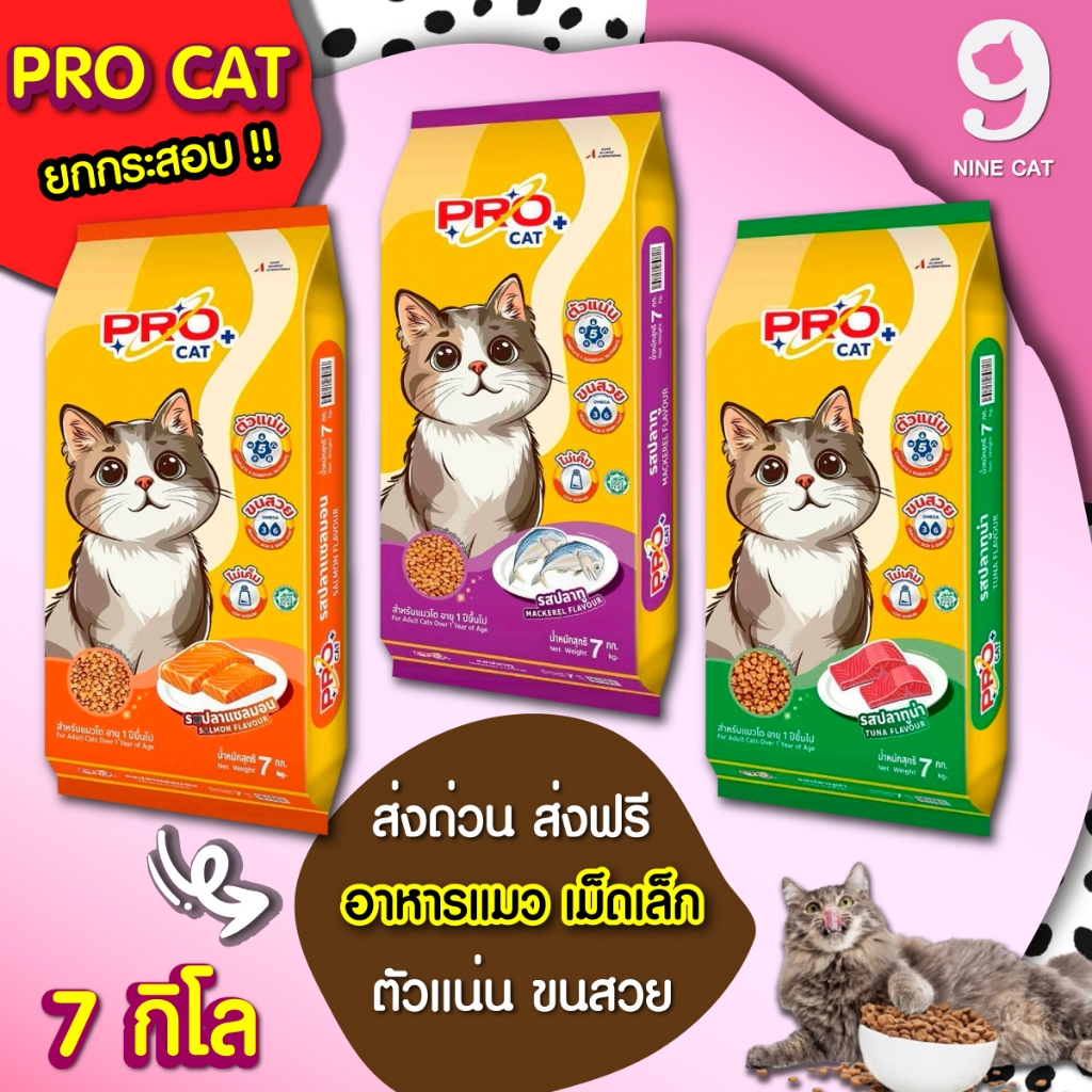 ( ใช้โค้ด ส่งฟรี ) Pro Cat 7 kg. อาหารแมว ยกกระสอบ  มี 3 รสชาติ รสปลาทู รสทูน่า และ รสแซลมอน ราคาถูก