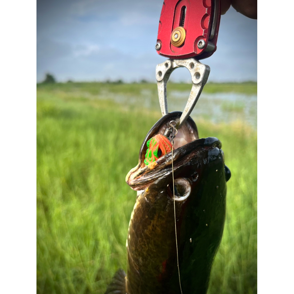 กบยาง GEN X 3.2cm/6.5g กบยางเจนเอ็กซ์ Fishing EZ ราคา ถูกที่สุด ดีลบีเคเค แกลเลอรีภาพที่ 8