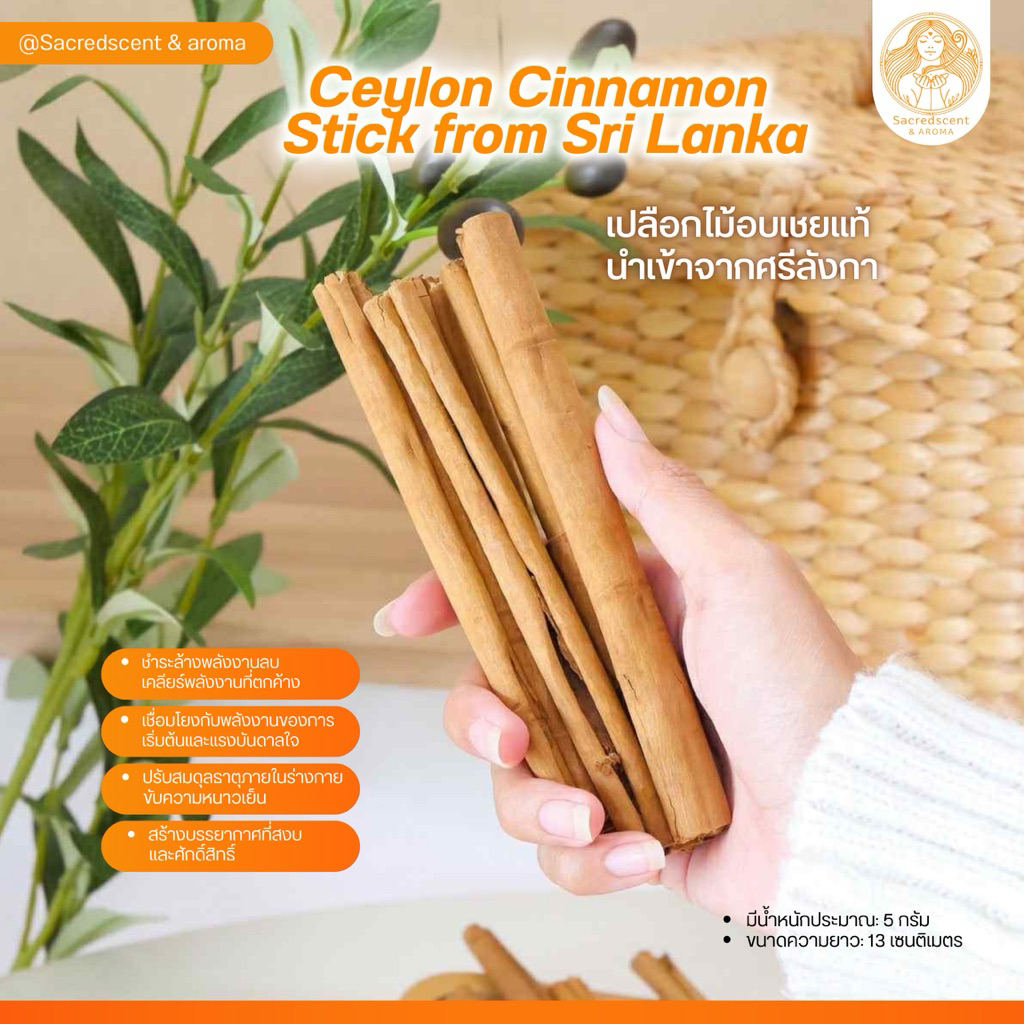 อบเชยแท้นำเข้าจากประเทศศรีลังกา แบบแท่ง Ceylon Cinnamon Sticks ชำระล้างพลังงานลบ ผ่อนคลาย เสริมสมาธิ