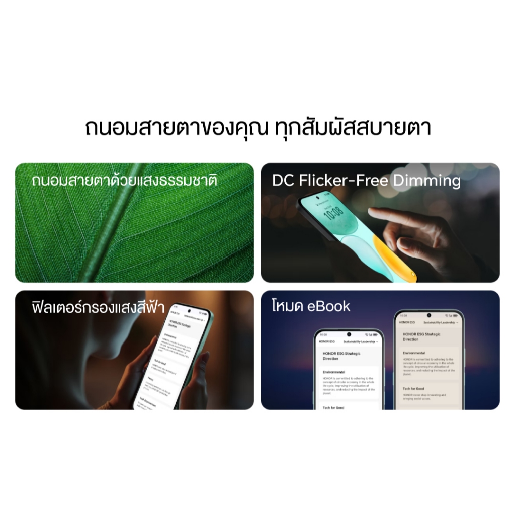 รูปภาพ 8