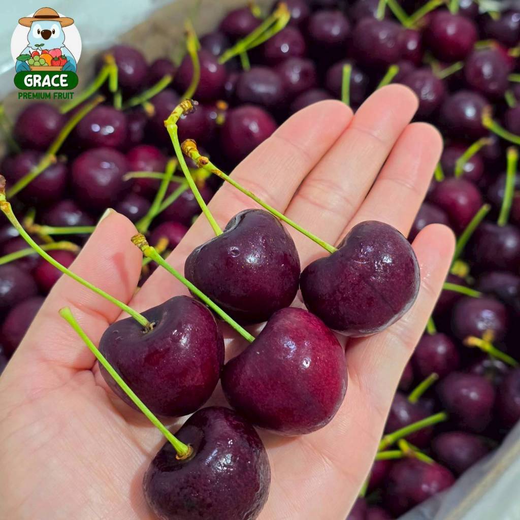 ส่งรถเย็น 0-8 องศา Fresh Cherry 🍒 เชอรี่แทสมาเนีย จัมโบ้ สด ก้านเขียว หวานกรอบ - รูปที่ 3