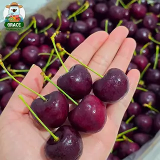 เชอรี่แดง Cherry 🍒 อเมริกา สดก้านเขียว ส่งแช่เย็น