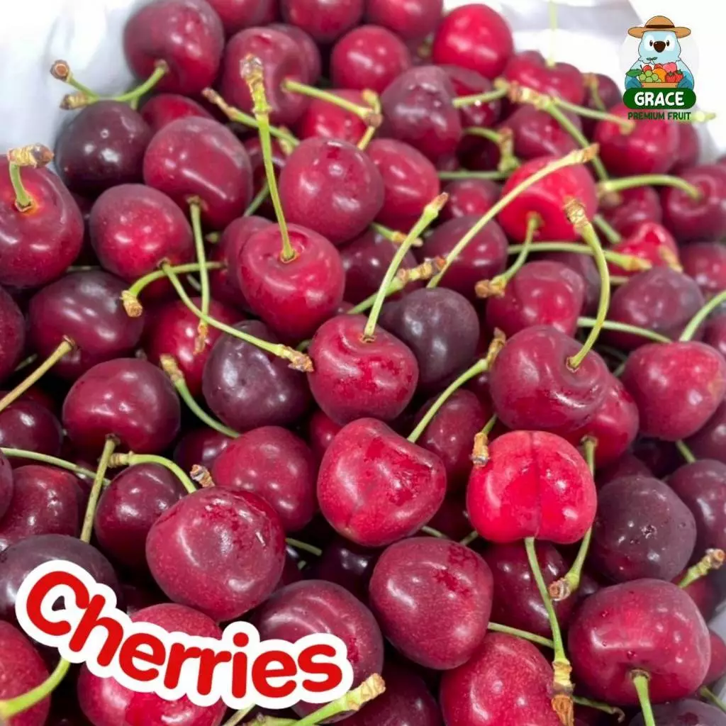 เชอรี่แดง Cherry 🍒 อเมริกา สดก้านเขียว ส่งแช่เย็น