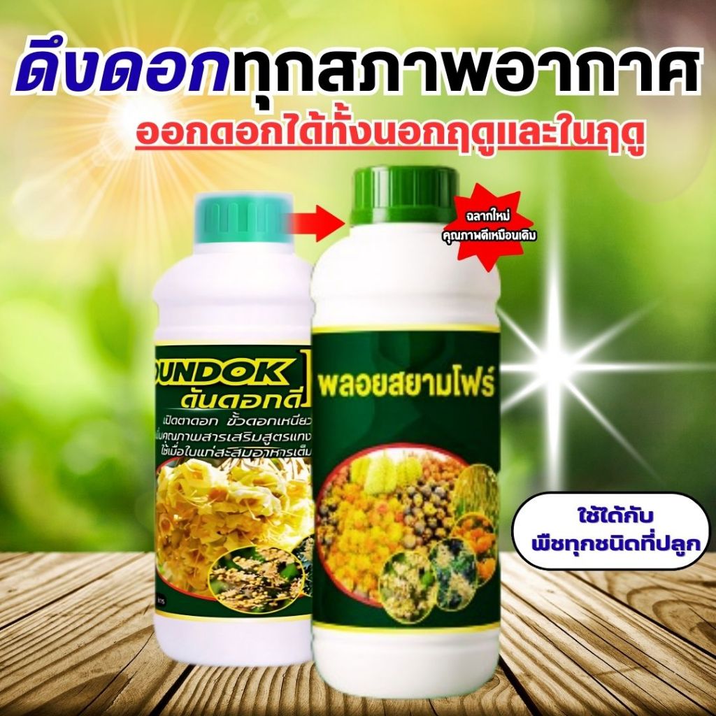 ดันดอกดี ขนาด1 ลิตร ช่วยดึงดอก ยืดช่อ เปืดตาดอก ออกดอกดก ขั้วเหนียว ทำดอกได้ทั้งในฤดูและนอกฤดู