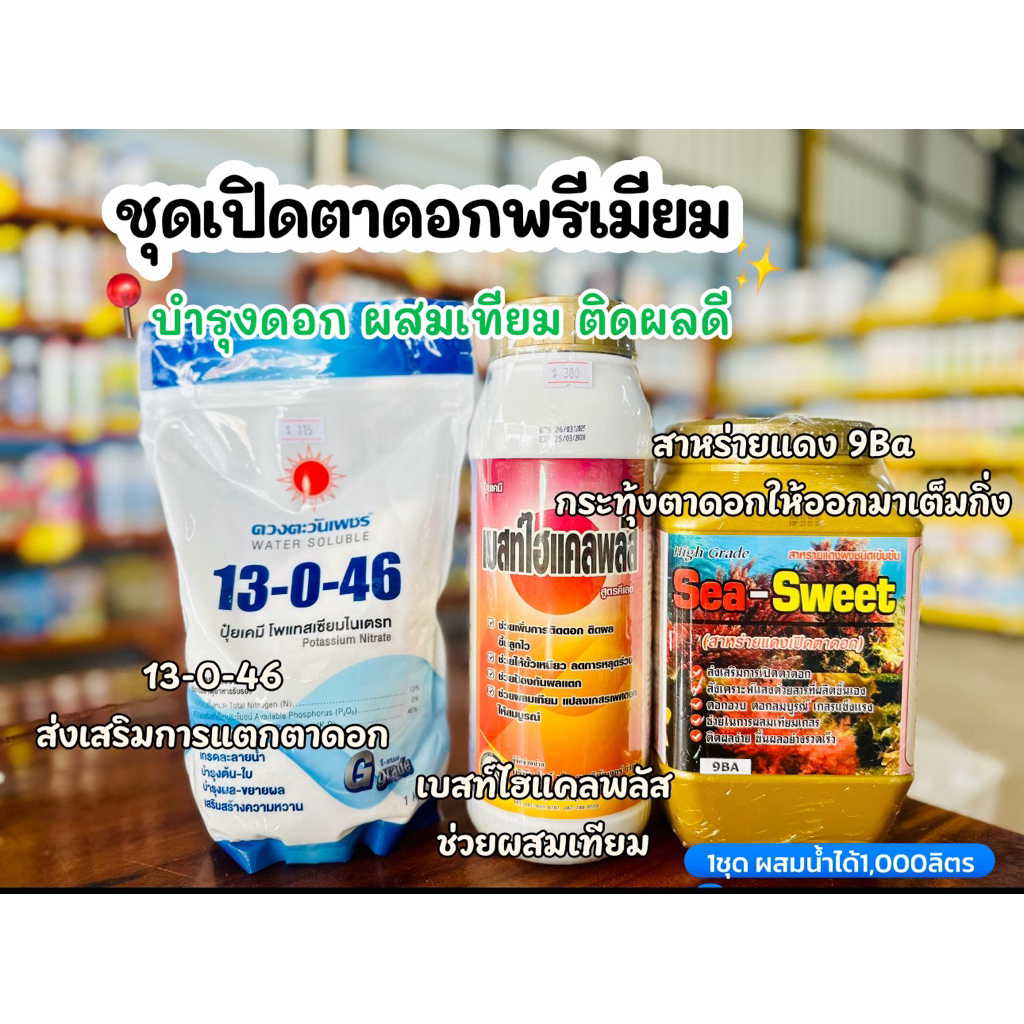 ชุดเปิดตาดอกทุเรียน ดอกออกเต็มต้น (13-0-46,เบสท์ไฮแคลพลัส,สาหร่ายแดง, SeaSweet)ผสมน้ำได้1000ลิตรพ่นไล่ท้องกิ่ง