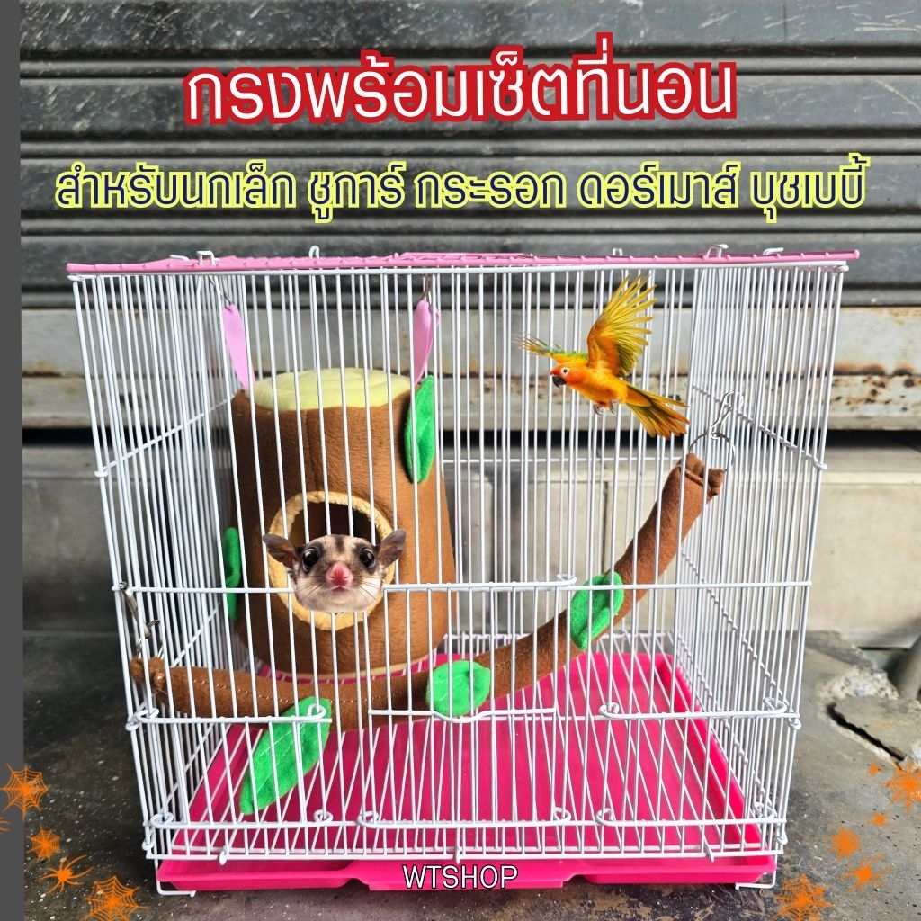 กรงขนาดเล็ก(เท่าลังเบียร์) พร้อมชุดที่นอนเซ็ตป่า สำหรับนก กระรอก ชูการ์