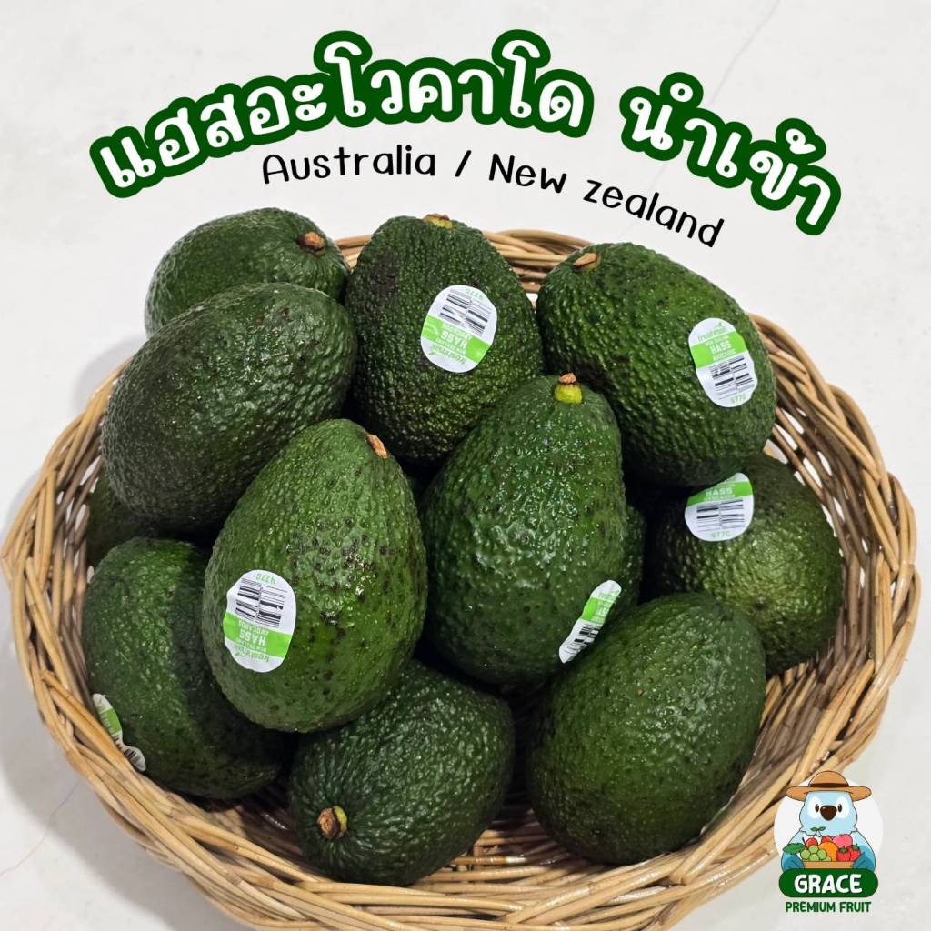 แฮสอะโวคาโด 🥑 เนื้อครีมมี่ นำเข้าจากอเมริกา/ออสเตรเลีย 🇺🇲