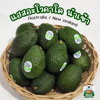 แฮสอะโวคาโด 🥑 เนื้อครีมมี่ นำเข้าจากนิวซีแลนด์