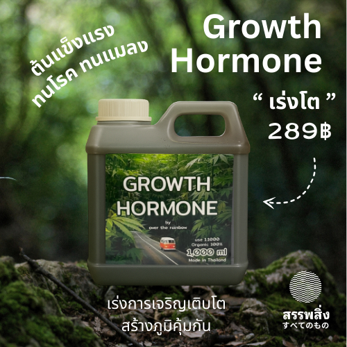 Growth Hormone เร่งการเจริญเติบโตของพืช ด้วยฮอร์โมนธรรมชาติ และจุลินทรีย์จากปล่องภูเขาไฟ