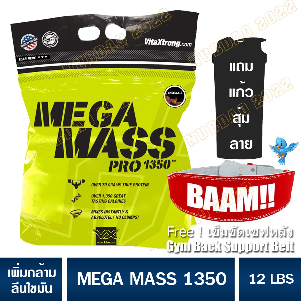 MEGA MASS ขนาด 12 LB เวย์โปรตีนเพิ่มน้ำหนัก/สร้างกล้ามเนื้อเมก้าแมส Whey Protein mega mass
