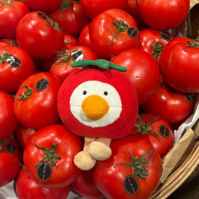 toma {goose} mato plushies keychain