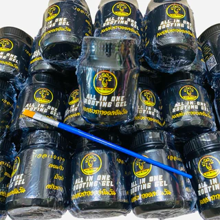 เจลเร่งราก ฮอร์โมนเร่งรากแบบเจล ขนาด 120 ml. ออลอินวัน