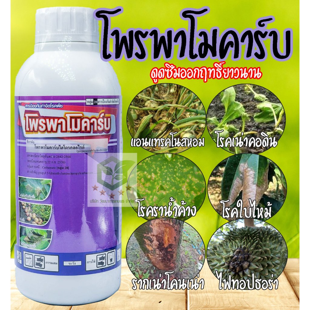 โพรพาโมคาร์บ ไฮโดรคลอไรด์ 72.2% SL 1ลิตร สารป้องกันกำจัดเชื้อรา โรคเน่าคอดิน โคนเน่า ใบไหม้ รานำ้ค้าง ไฟทอปธอรา คาริสมา