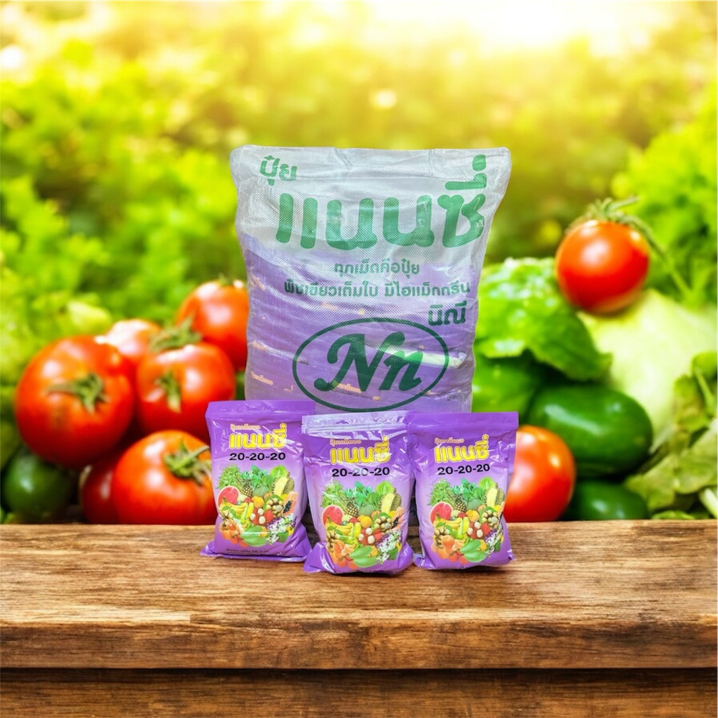 ปุ๋ยเกล็ด ละลายน้ำไว แนนซี่ สูตร20-20-20 (ขนาด1กิโล)