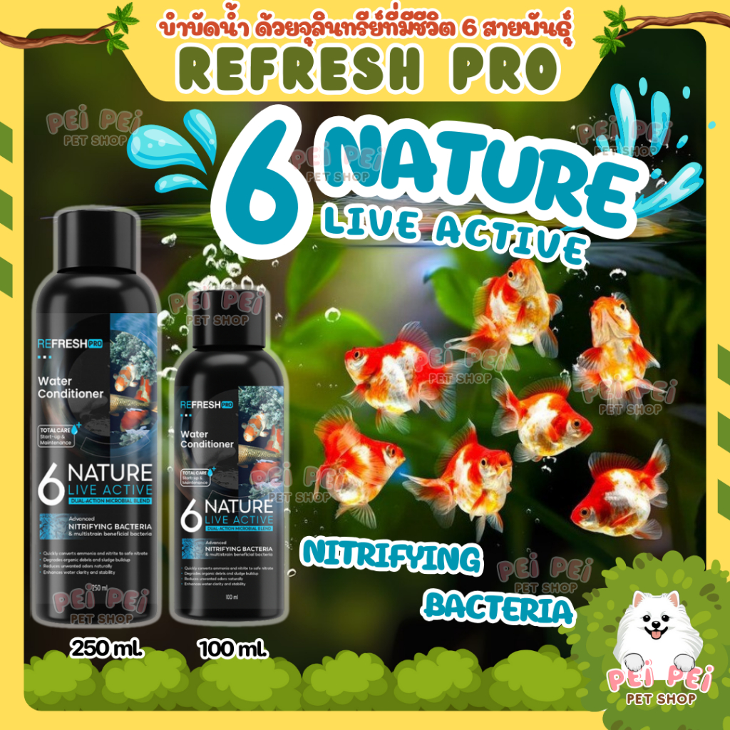 🆕 6NATURE จุลินทรีย์ตู้ปลา Nitrifying+Bacillus รวม 6 สายพันธุ์ น้ำใส ลดกลิ่น ตั้งตู้ปลา ไม้น้ำ กุ้ง