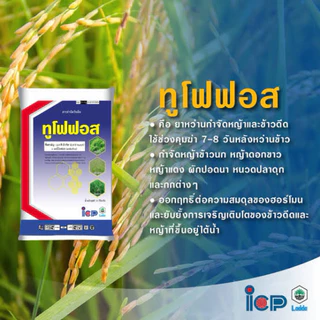 ทูโฟฟอส ICP 2,4 ดี บิวทิล กำจัด หญ้า ข้าวดีด ผักปอด 15 กิโลกรัม