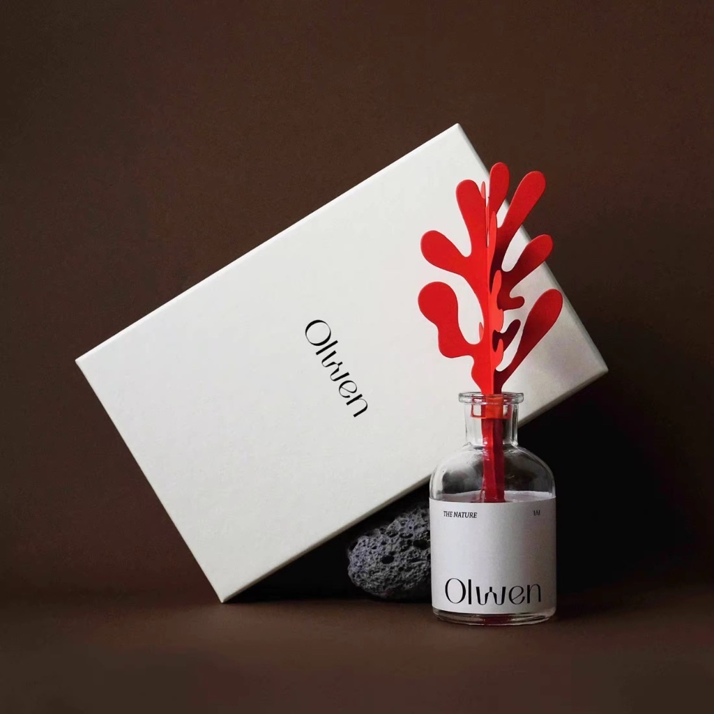 OLWEN Ambience Diffuser 100ml โอเว่น ก้านไม้หอม ก้านไม้หอมและก้านกระดาษกระจายกลิ่น 100 มล.