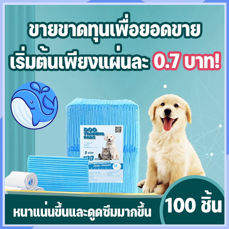 แผ่นรองฉี่สุนัข แผ่นรองฉี่แมว ช่วยฝึกขับถ่าย แผ่นรองฉี่สำหรับสัตว์เลี้ยง ผิวสัมผัสดี ซึมซับไว ดูดซึมเร็วแผ่นรองฉี่