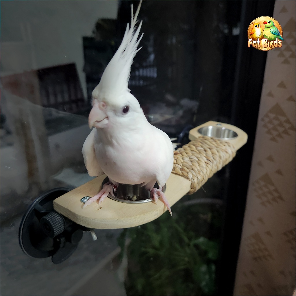 คอนไม้ติดกระจกชมวิว มีถ้วยอาหาร สำหรับนกขนาดเล็กถึงขนาดกลาง ทำจากไม้พันด้วยเชือกผักตบชวา - รูปที่ 2