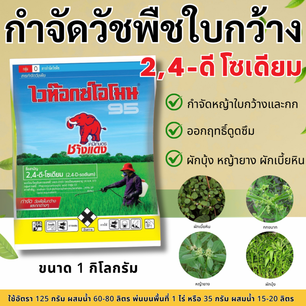 ไวท๊อกซ์โอโมน ช้างแดง ผง 2-4D 95 ขนาด 1 กิโลกรัม กำจัดวัชพืช ผักบุ้ง ผักปอด เทียนนา และหญ้า ใช้ตามคำแนะนำบนฉลากเพื่อผลลั