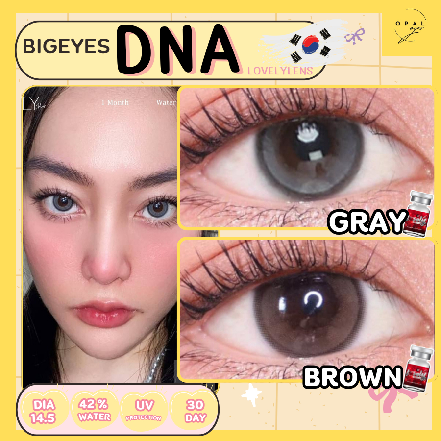 คอนแทคเลนส์ Dna✨ขนาดบิ๊กอาย✨ Gray/ Brown  (Lovelylens)