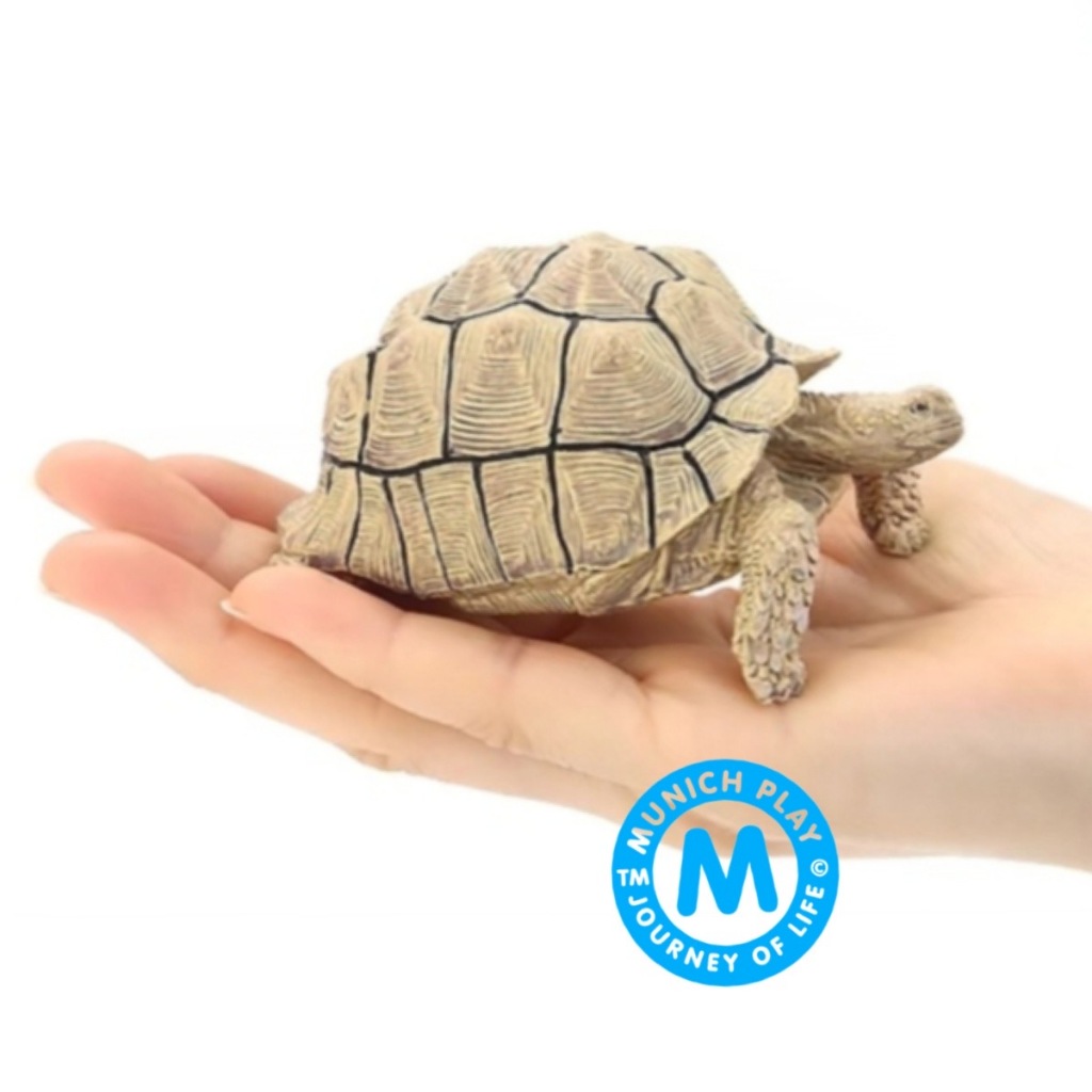 Munich Play โมเดลสัตว์ Turtle เต่า ซูลคาต้า น้ำตาล ขนาด 10.00 CM (จากหาดใหญ่)