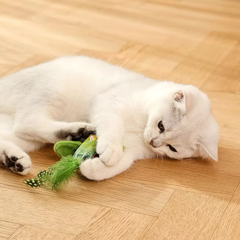 ของเล่นแมว ตุ๊กตานกร้องเพลง thumbnail 4