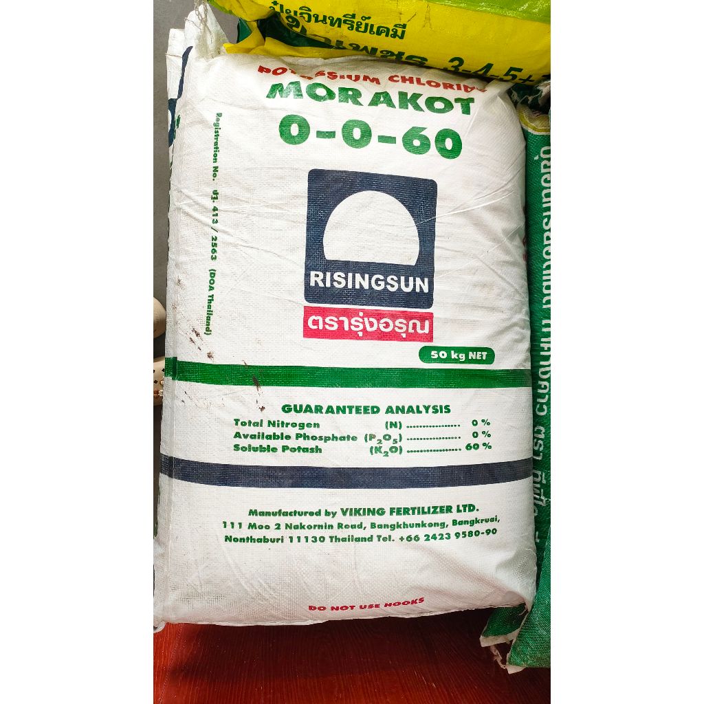ปุ๋ยรุ่งอรุณ 0-0-60 เป็นปุ๋ยโพแทสเซียมคลอไรด์ (Potassium Chloride)