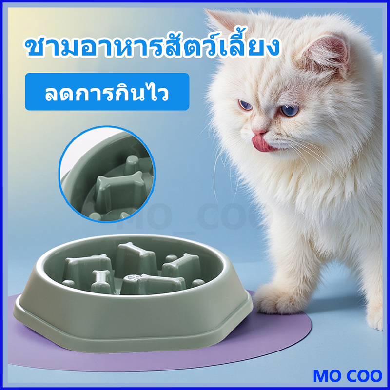 ชามอาหารสัตว์เลี้ยง ชามอาหารฝึกให้ทานช้าลง ชะลอความเร็วในการกินของสัตว์เลี้ยง การฝึกนิสัยการกินของสัตว์เลี้ยงของคุณ