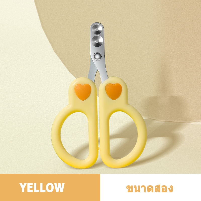 รูปภาพ 9