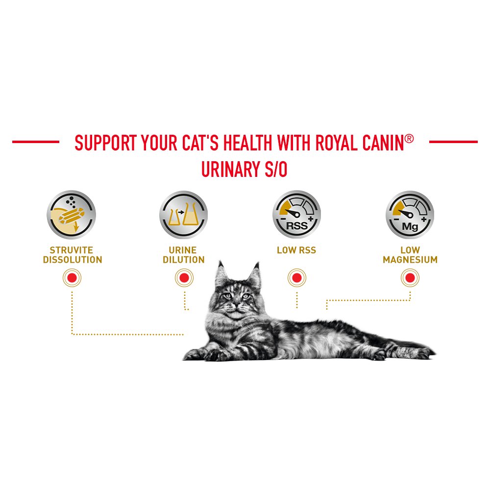 Royal Canin Urinary s/o อาหารสำหรับแมวโรคนิ่ว 400g.ถุงเล็กขนาดทดลอง - รูปที่ 2