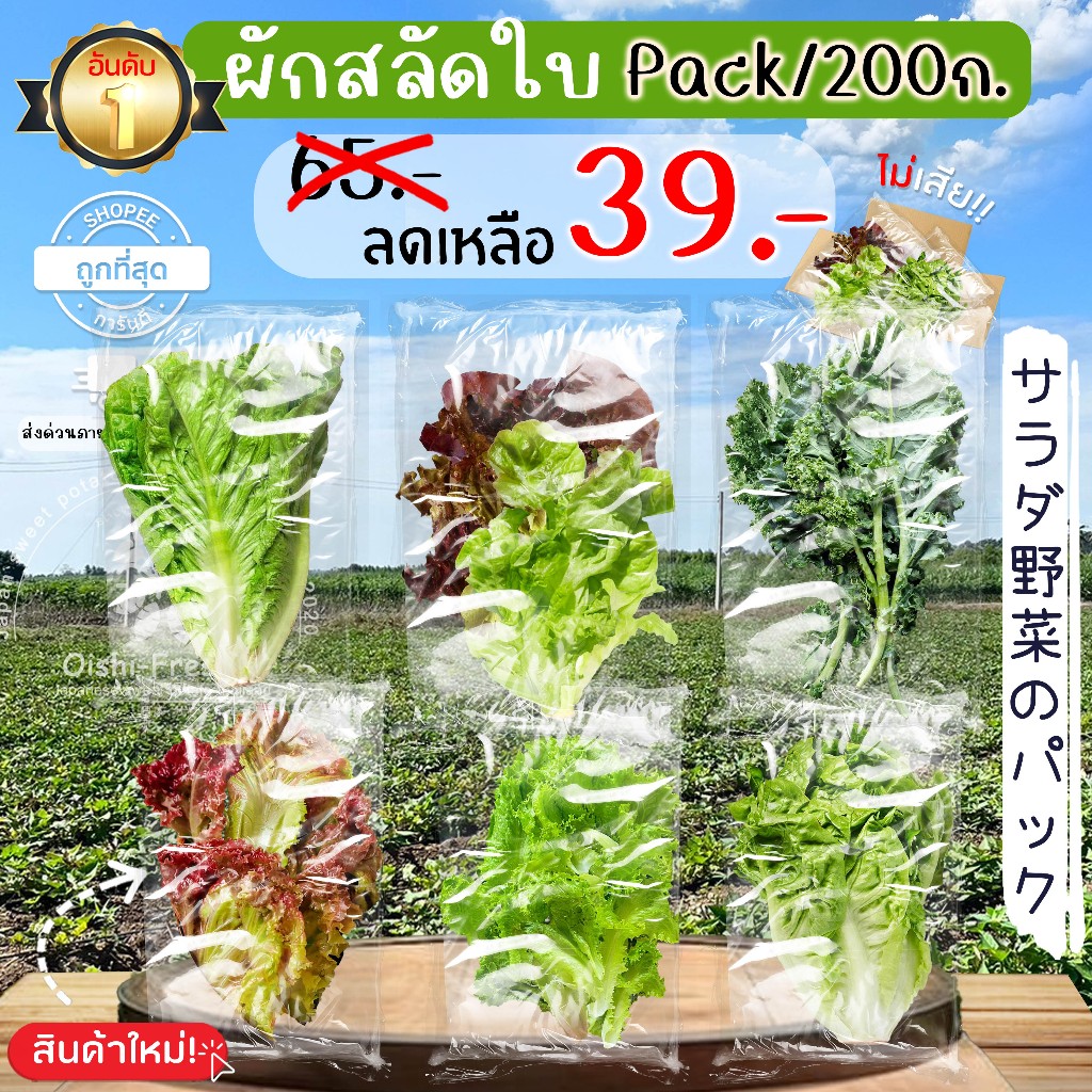 🛒Oishi-Fresh🥬ผักสลัด แพ็ค 200 กรัม ปลอดสารพิษ รสชาติกรอบ สด ใหม่ ใยอาหารสูง หวานออร์แกนิค เคลมได้ 1-2 วัน