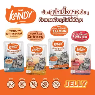 (แบบซอง) อาหารเเมว KANDY อาหารแมวชนิดเปียก ขนาดซองละ 70g. มีให้เลือก 10 สูตร