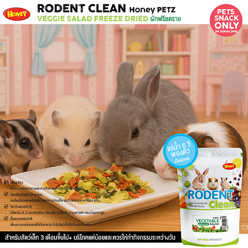 [HoneyPetz]ผัก&ผลไม้อบแห้งสำหรับสัตว์เล็ก แฮมเตอร์ แกสบี้ กระต่าย ชินชิล่า แพรี่ด็อก กระรอก ชูการ์ ดอร์เมาส์ ขนาด 50กรัม