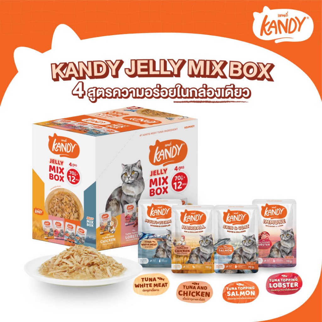 (12ซอง Mix Box) Kandy Jelly Mix Box อาหารแมวแคนดี้ ชนิดเปียก (3 ซอง / สูตร)