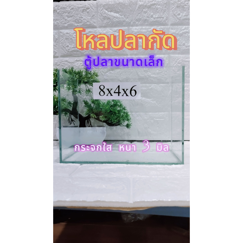 โหลปลากัดขนาด 8x4x6 นิ้ว กระจกหนา 3 มิล มีทั้งกาวใสและกาวดำ สำหรับเลี้ยงปลากัดและสัตว์เล็ก