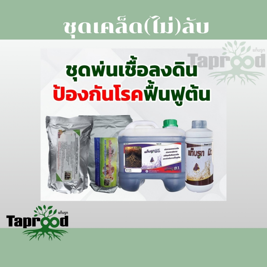 ชุดพ่นเชื้อลงดิน ป้องกันโรค ฟื้นฟูต้น คีโตเมี่ยม+KS+มิว+B1