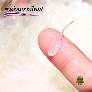 เหยื่อตกปลารุ่นลูกปลาน้อย งานอาจิ น้ำทะเล และน้ำจืดเหยื่ออ่อนนุ่ม ปลาชอบมากพลิ้วไหว สินค้ามีพร้อมส่งจากไทย