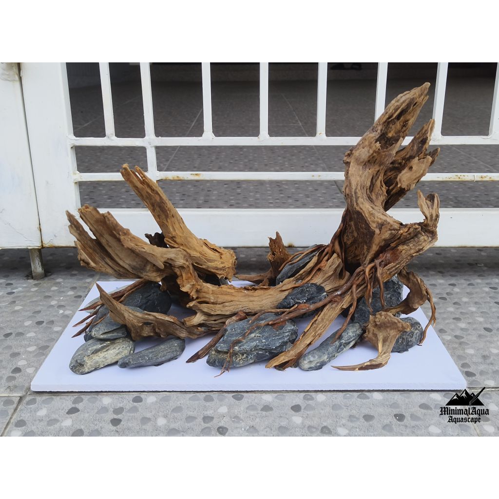 Layout,เลย์เอ้าท์ตกแต่งตู้ไม้น้ำ,ตู้ปลาขนาดไม่เกิน18"/45Cm.