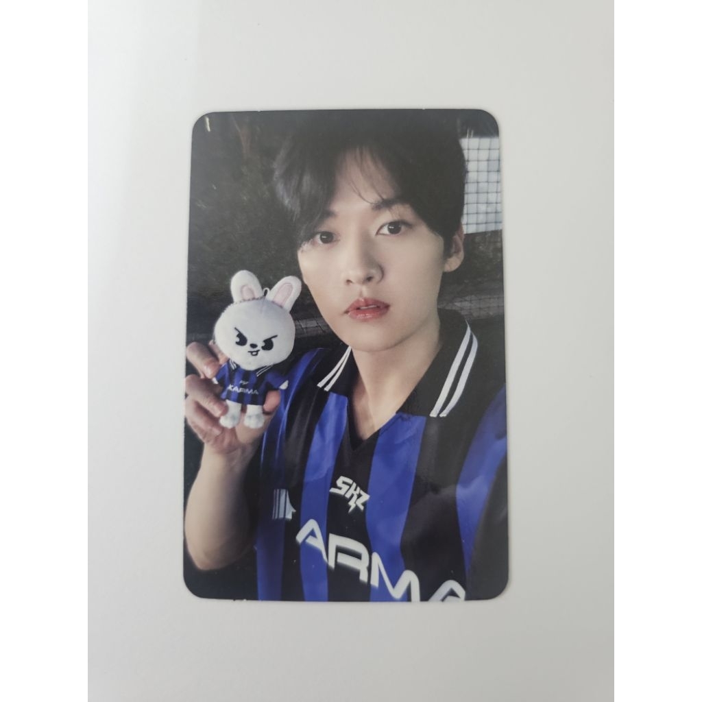 Stray kids - Leeknow - SKZOO KARMA : skzoo pob