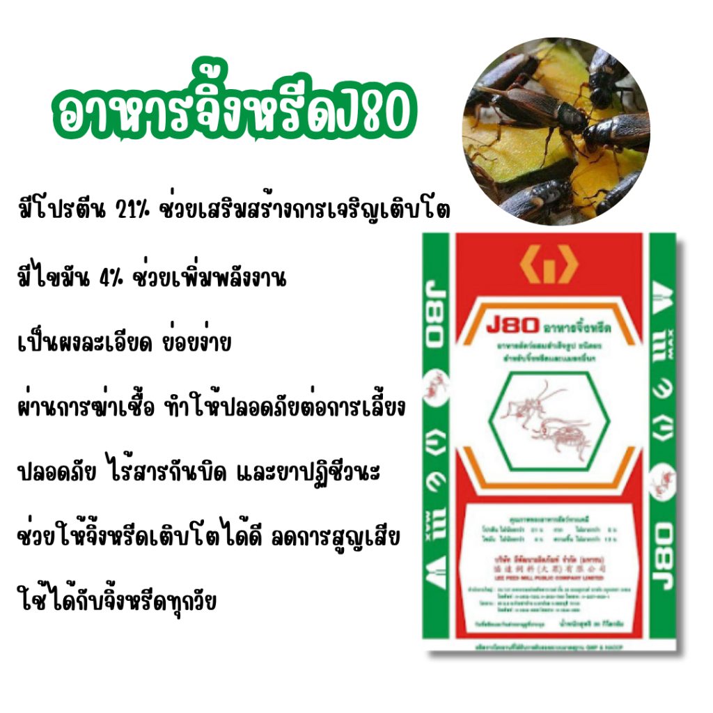 J80 อาหารจิ้งหรีด สำหรับจิ้งหรีดและแมลงอื่นๆ ลีพัฒนา จำกัด ขนาดบรรจุ 30 กิโลกรัม